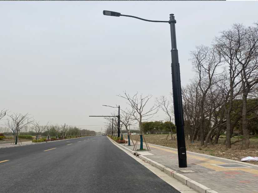 临沧市上海综合杆 太阳能路灯工程